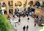 The venue at optimal foraging time